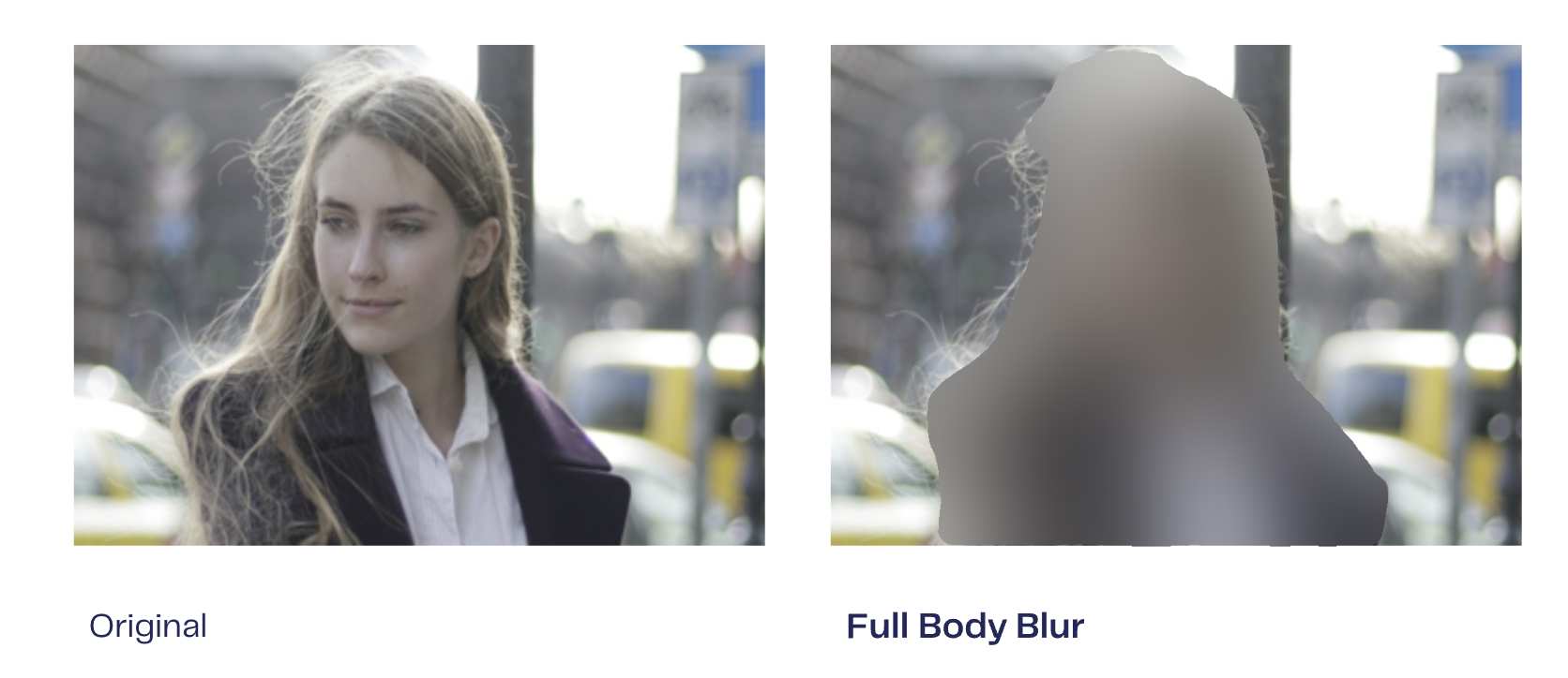 screenshot of Brighter AI